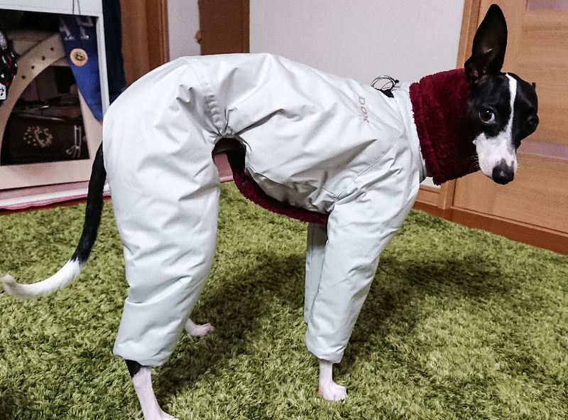 Fitting Dox Inner Boa Outdoor Suit 日茶飯事 Fitting Dox Inner Boa Outdoor Suit 日茶飯事