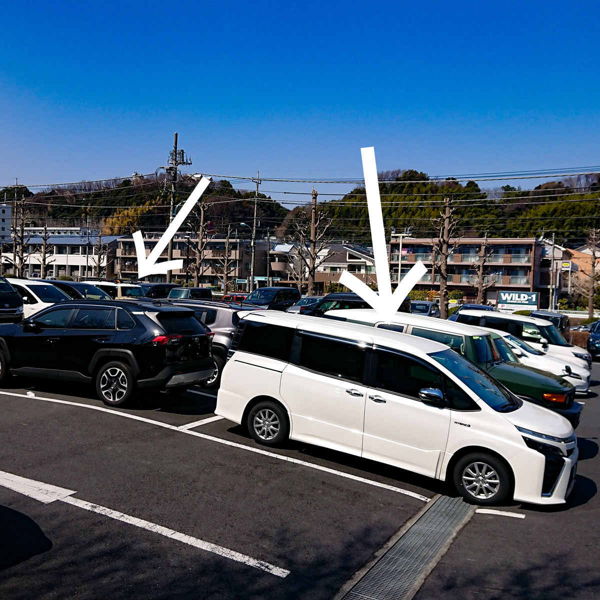 f:id:Sugury:20220312194142j:plain