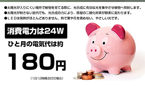 f:id:Suiten:20161118004848p:plain f:id:Suiten:20161118004848p:plain