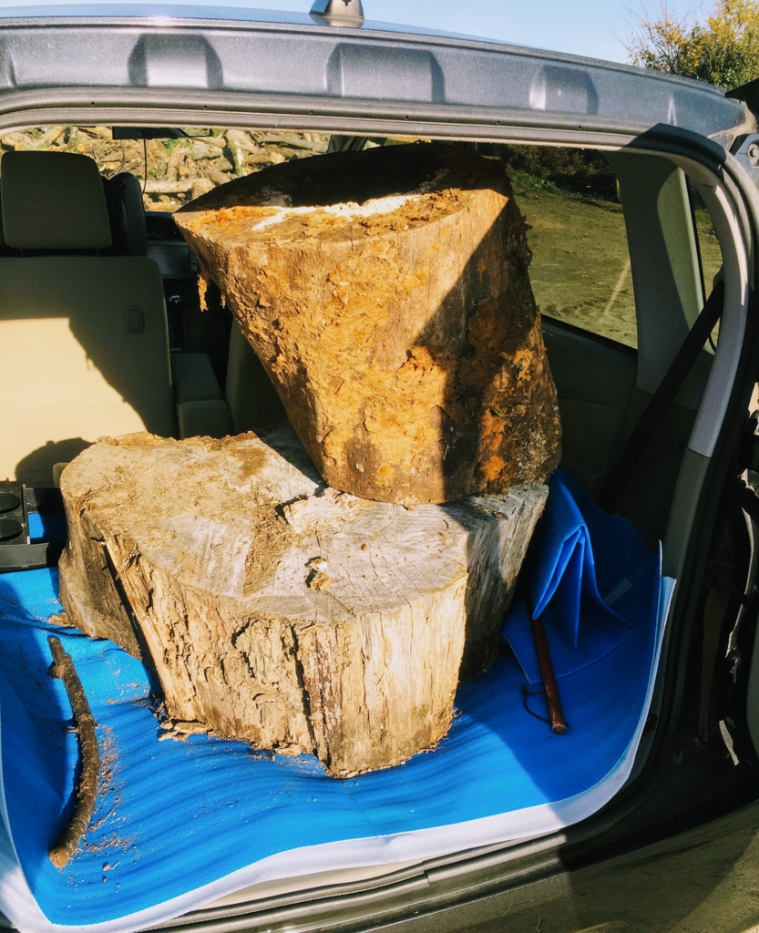 f:id:Suiten:20161203223012j:plain f:id:Suiten:20161203223012j:plain