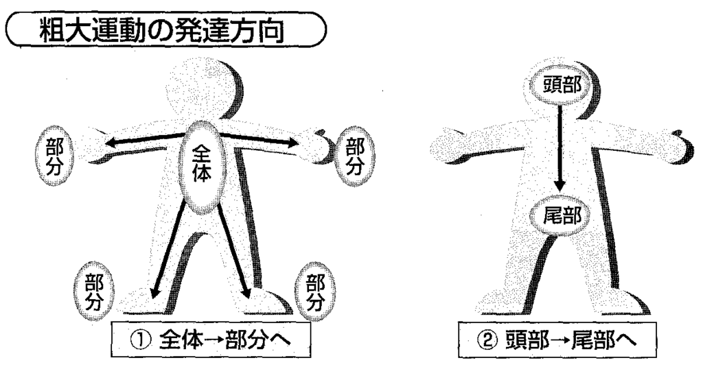 赤ちゃんの発達と子供椅子の購入するタイミングはいつがベスト？ 薪とともに