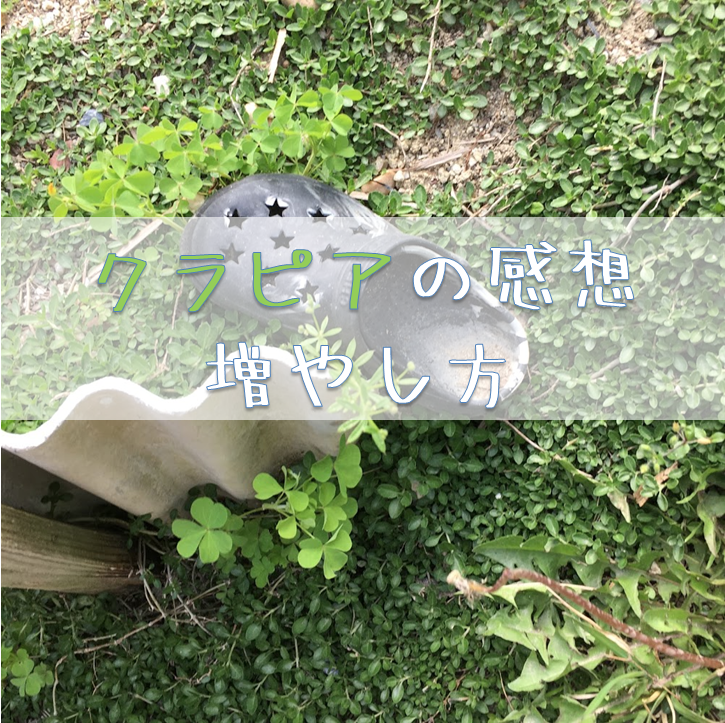 クラピアを育てた感想と増やす方法について書いてみた 薪とともに