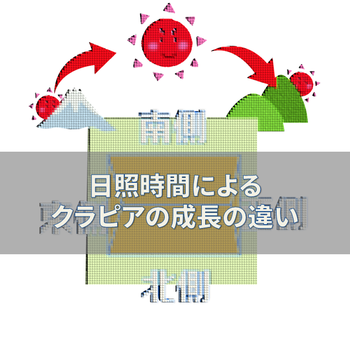 f:id:Suiten:20190311214118p:plain f:id:Suiten:20190311214118p:plain