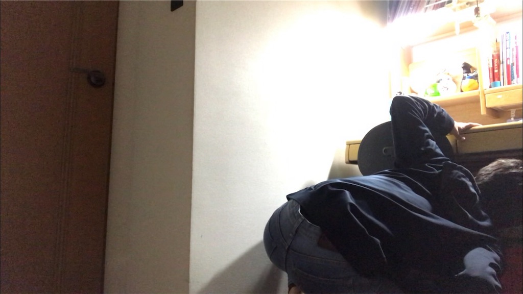 f:id:Suke873:20190325225425j:image f:id:Suke873:20190325225425j:image