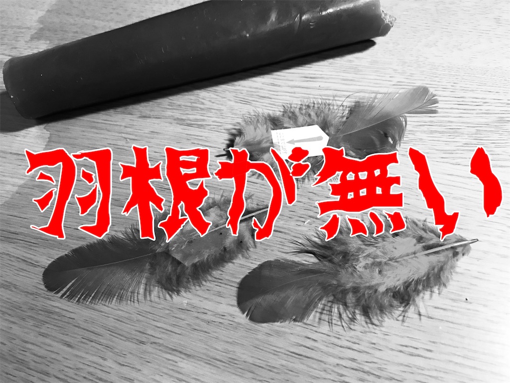 f:id:Suke873:20190329235041j:image f:id:Suke873:20190329235041j:image
