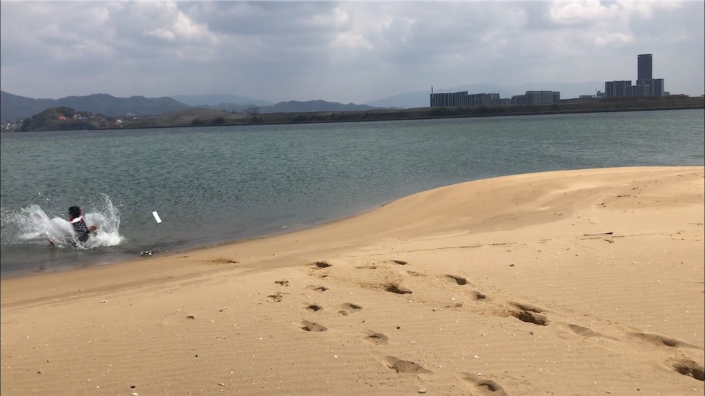 f:id:Suke873:20190401184620j:image f:id:Suke873:20190401184620j:image