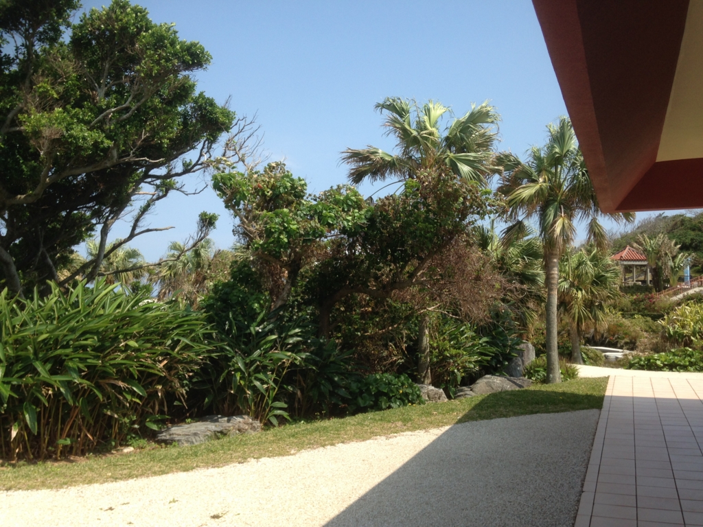 f:id:Summery:20150317114323j:plain f:id:Summery:20150317114323j:plain