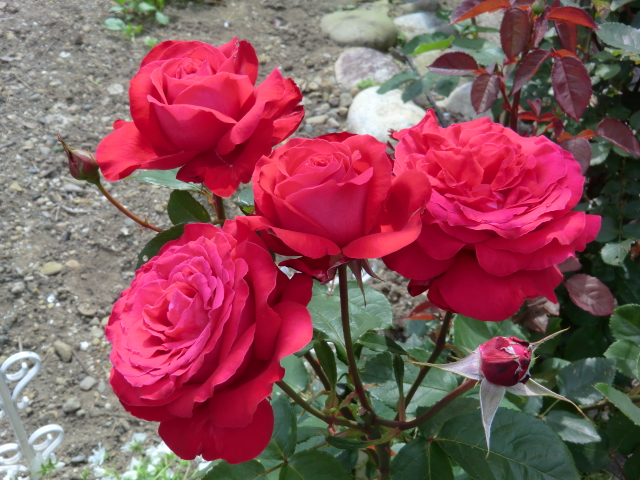 f:id:SunSalutation:20150506141134j:image:w360