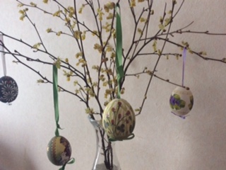 f:id:SunnyKidsEnglish:20190421234739j:plain f:id:SunnyKidsEnglish:20190421234739j:plain