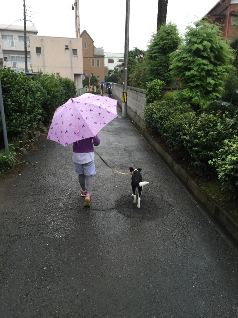 f:id:SunnySideDogs:20160719221932j:plain f:id:SunnySideDogs:20160719221932j:plain