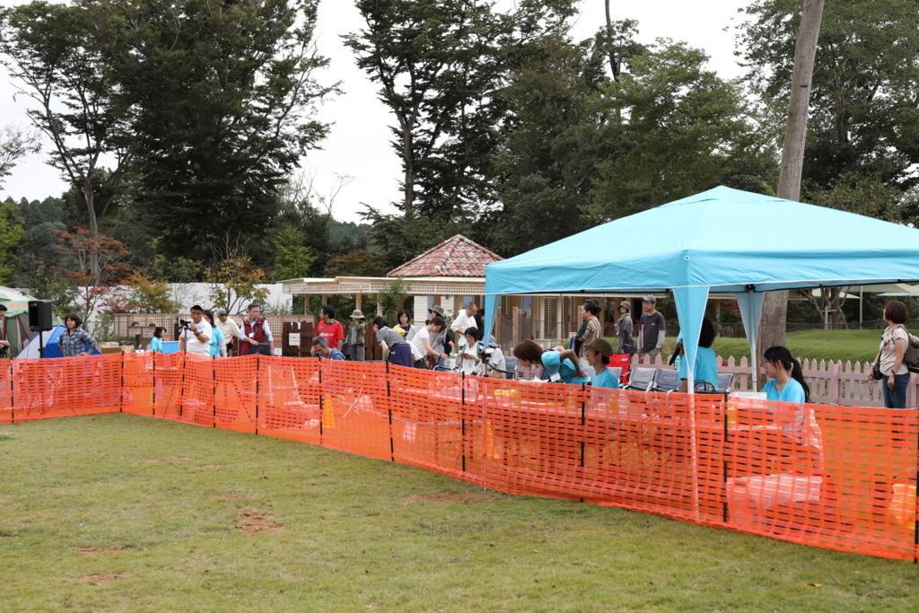 f:id:SunnySideDogs:20171016164156j:plain