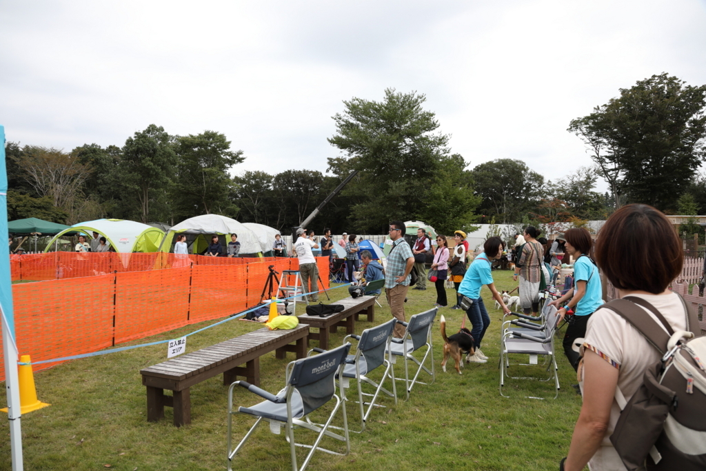 f:id:SunnySideDogs:20171016164244j:plain