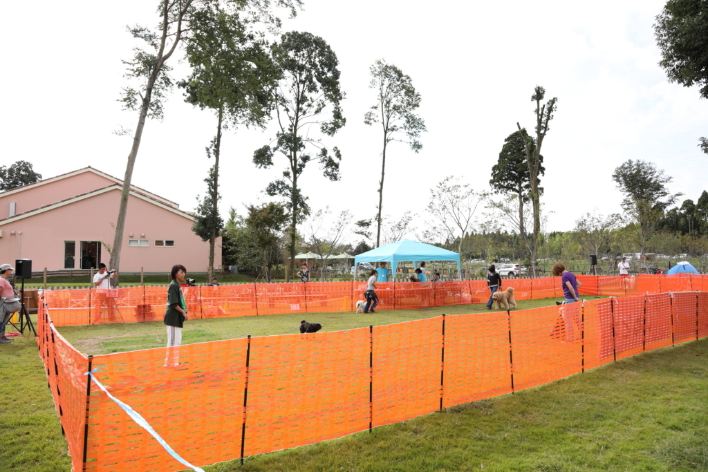 f:id:SunnySideDogs:20171016164600j:plain