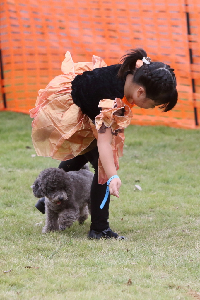 f:id:SunnySideDogs:20171016170506j:plain