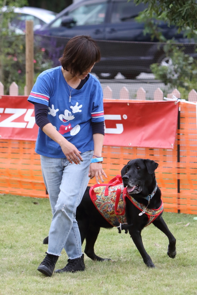 f:id:SunnySideDogs:20171016170631j:plain