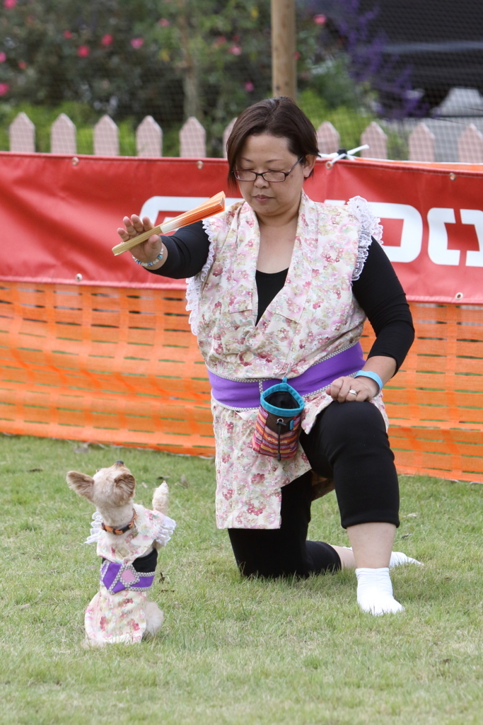 f:id:SunnySideDogs:20171016174016j:plain