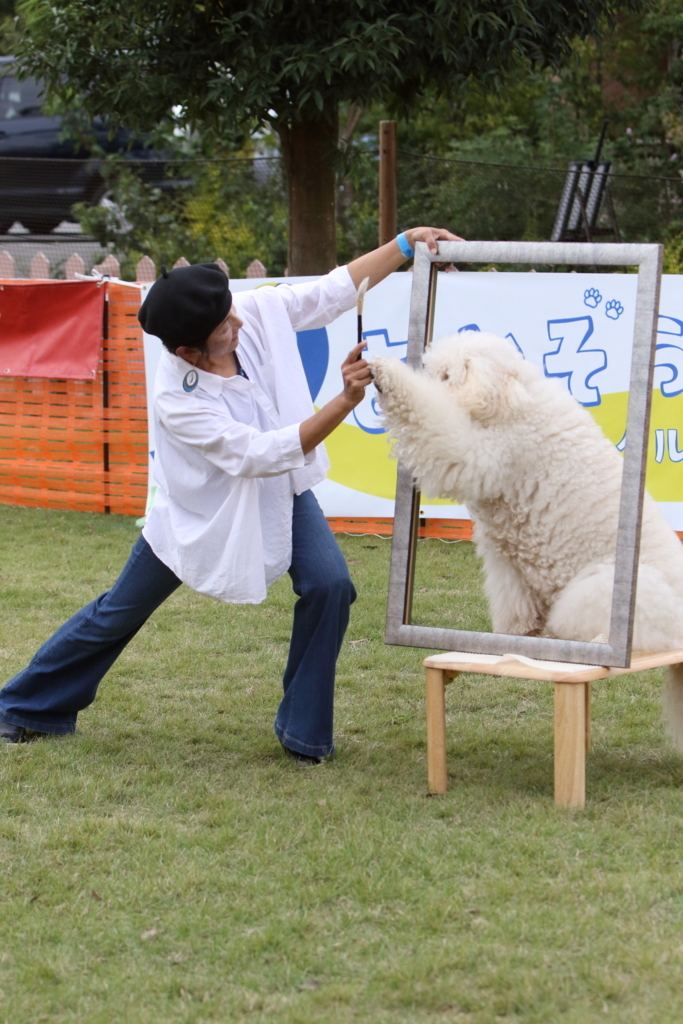 f:id:SunnySideDogs:20171016174200j:plain