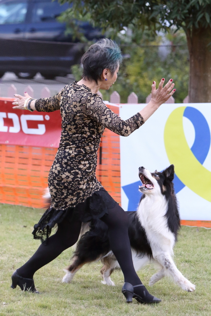 f:id:SunnySideDogs:20171017000540j:plain