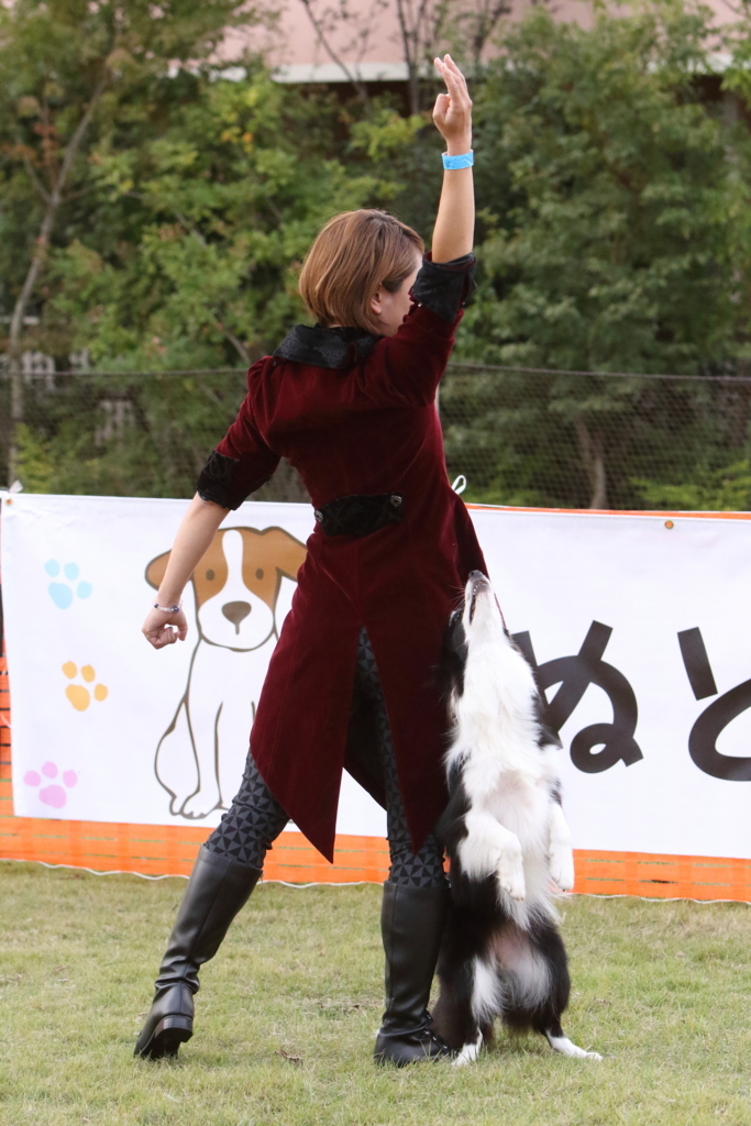 f:id:SunnySideDogs:20171017000722j:plain