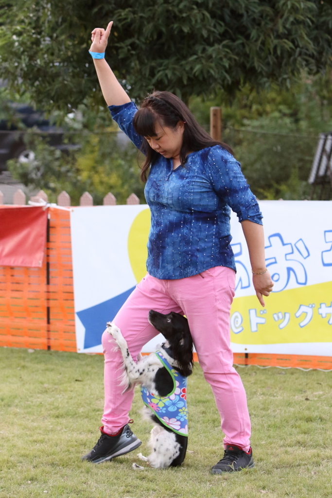 f:id:SunnySideDogs:20171017001306j:plain