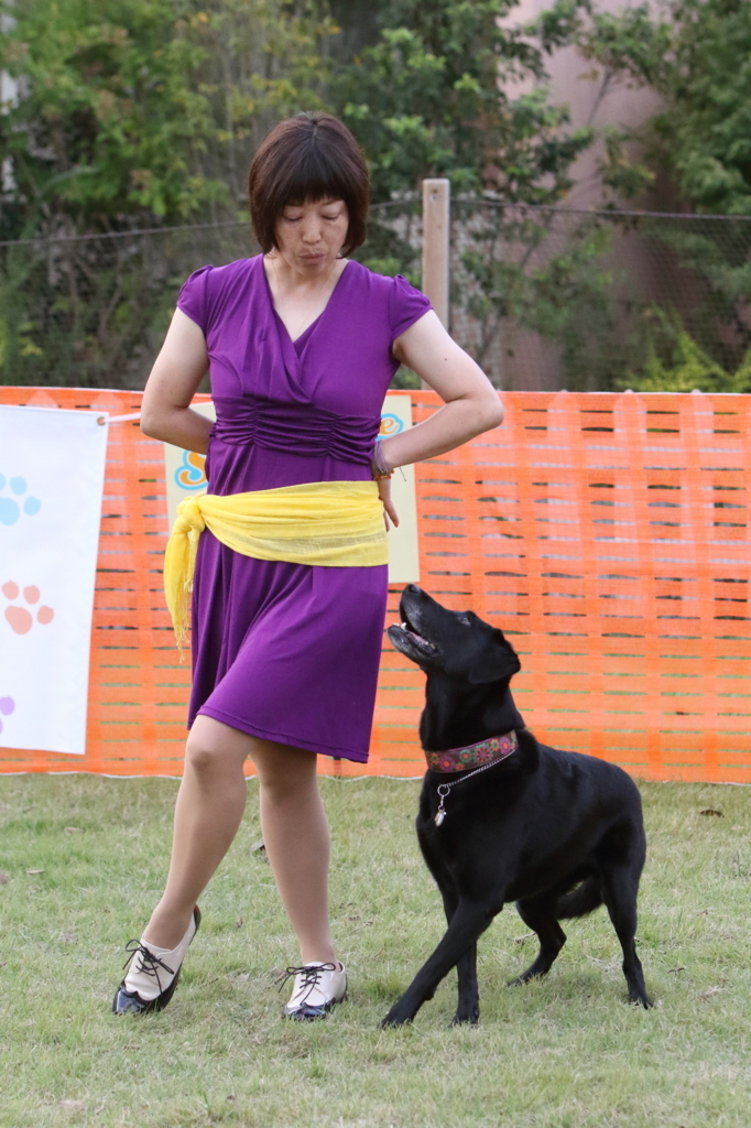 f:id:SunnySideDogs:20171017001501j:plain