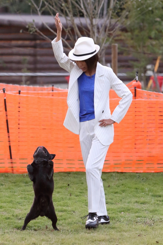 f:id:SunnySideDogs:20171017001623j:plain