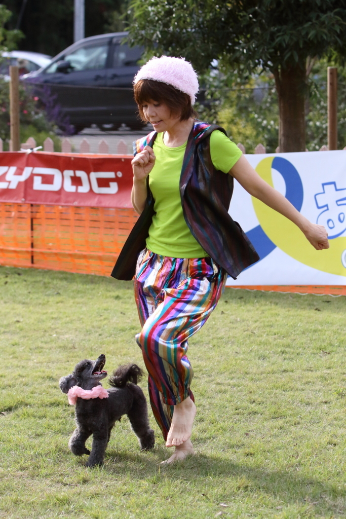 f:id:SunnySideDogs:20171017003458j:plain