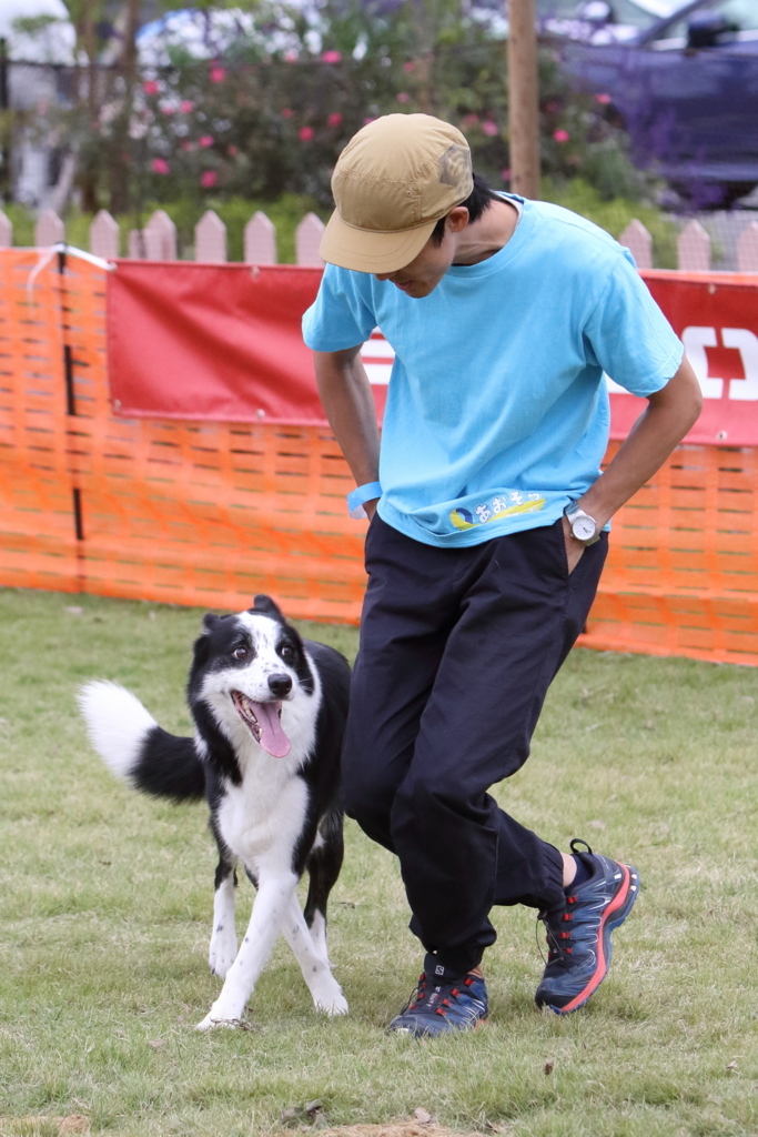 f:id:SunnySideDogs:20171017003827j:plain