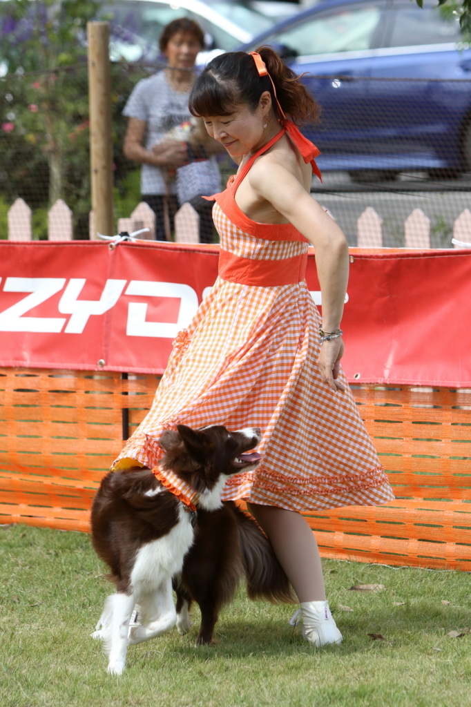 f:id:SunnySideDogs:20171017215205j:plain