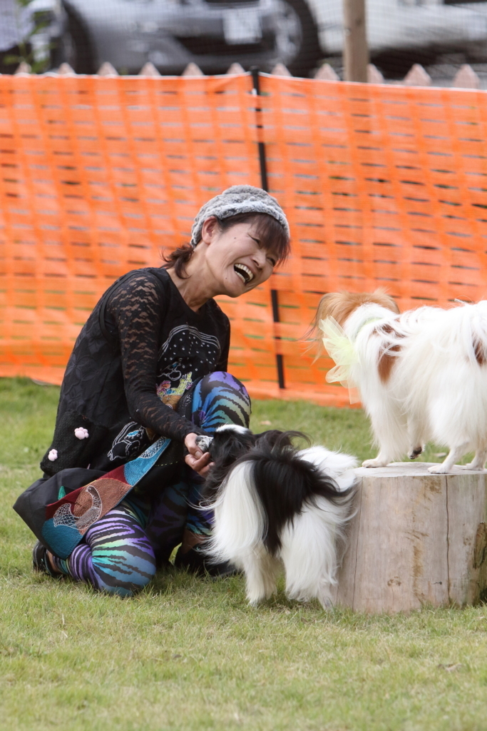 f:id:SunnySideDogs:20171017220033j:plain