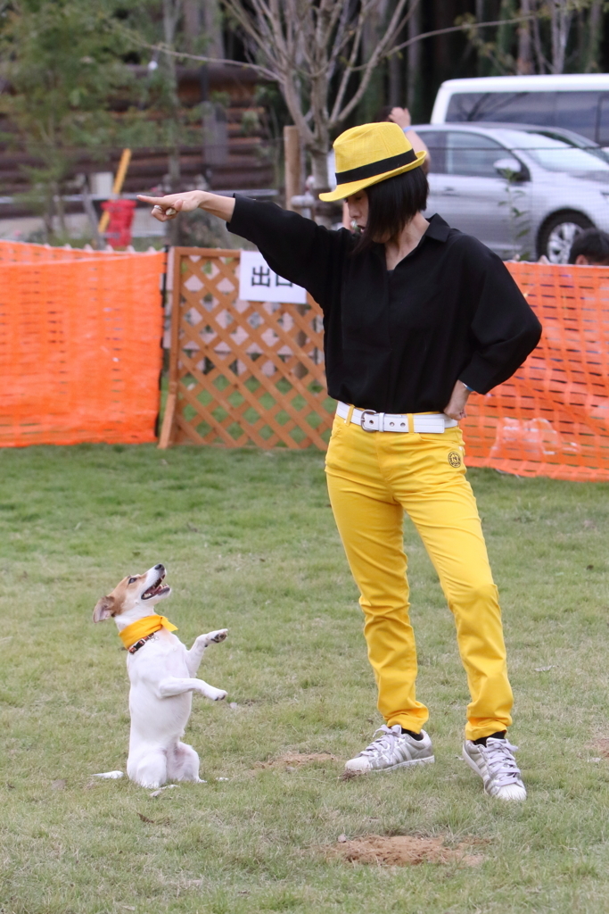 f:id:SunnySideDogs:20171017220056j:plain