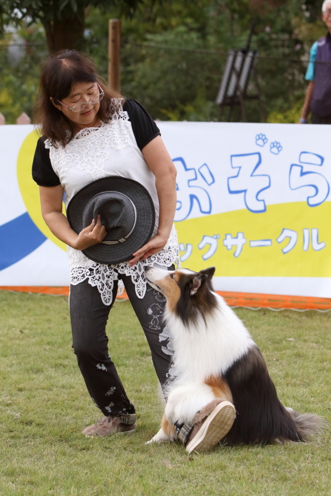 f:id:SunnySideDogs:20171017220540j:plain