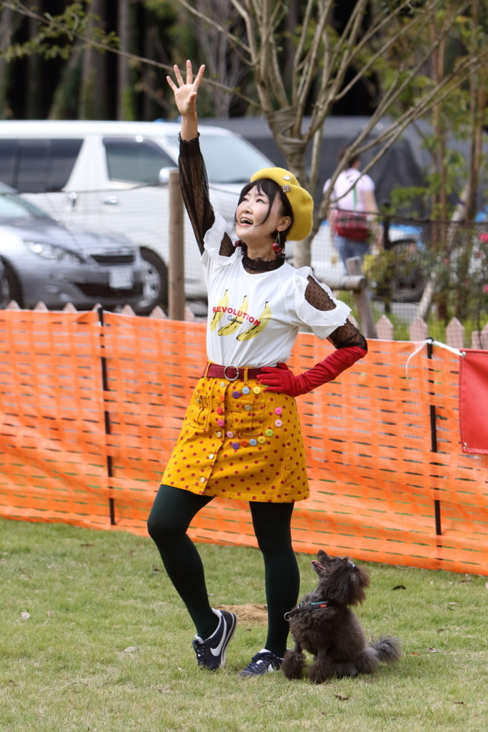 f:id:SunnySideDogs:20171017221136j:plain