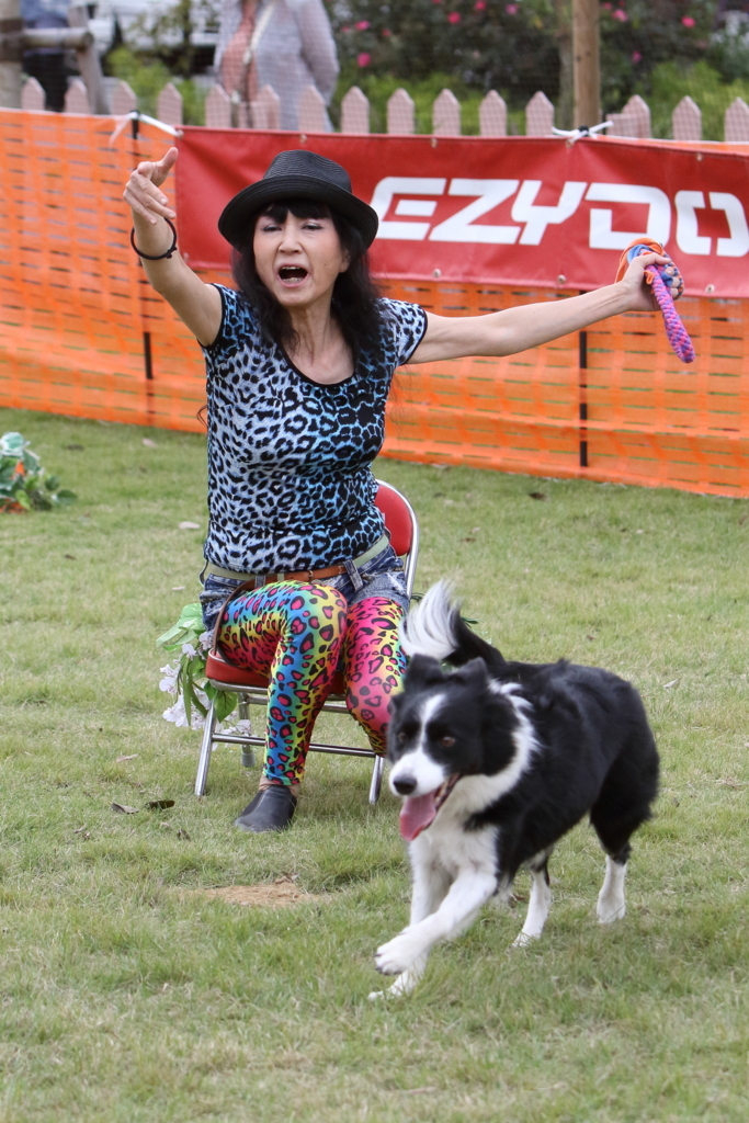 f:id:SunnySideDogs:20171017221200j:plain