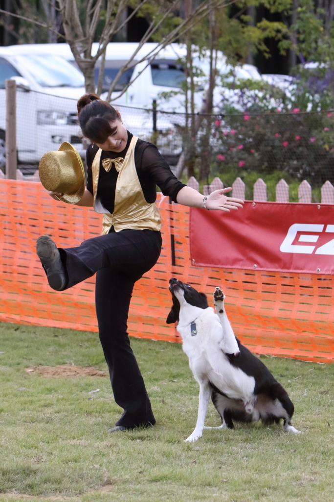 f:id:SunnySideDogs:20171017221654j:plain