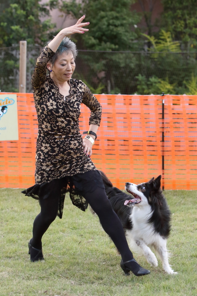 f:id:SunnySideDogs:20171017221735j:plain