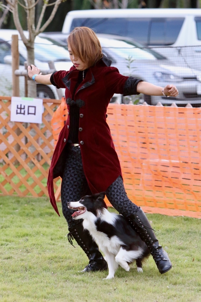 f:id:SunnySideDogs:20171017222542j:plain