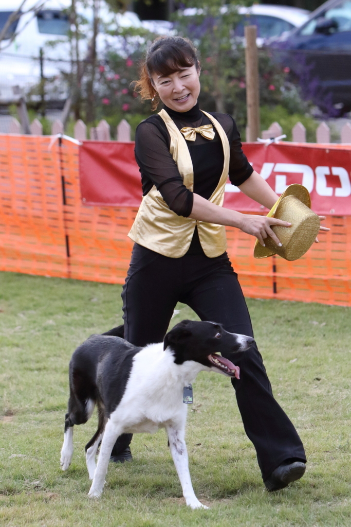 f:id:SunnySideDogs:20171017230136j:plain