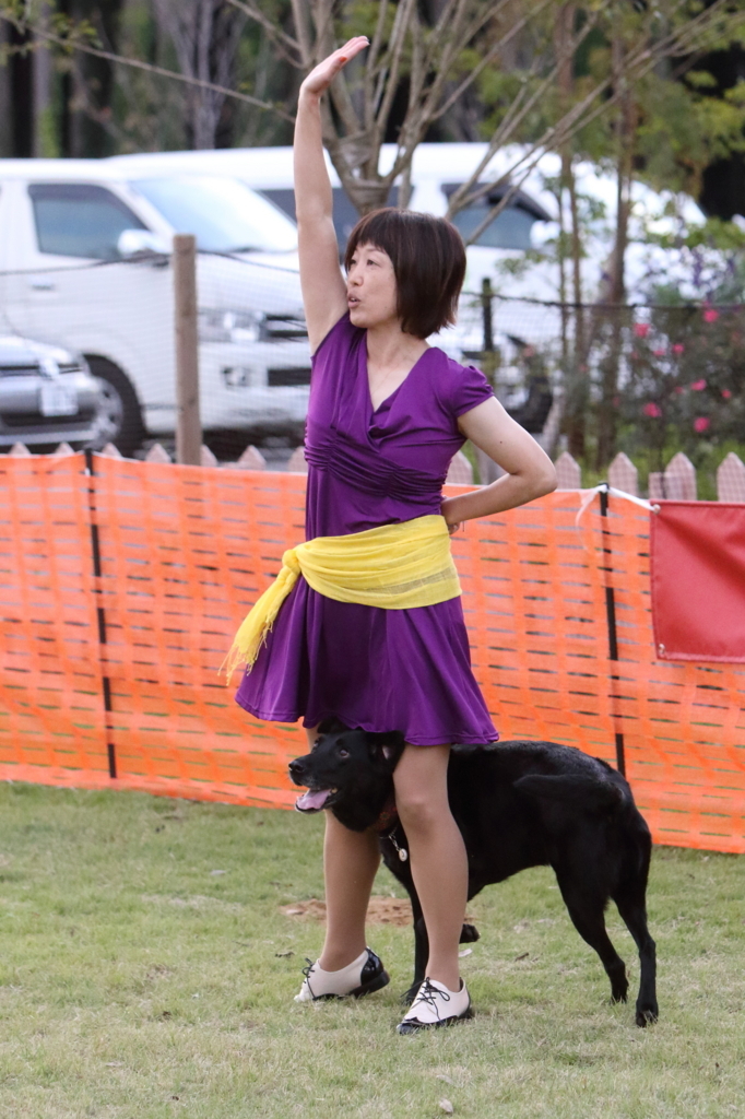 f:id:SunnySideDogs:20171017230225j:plain