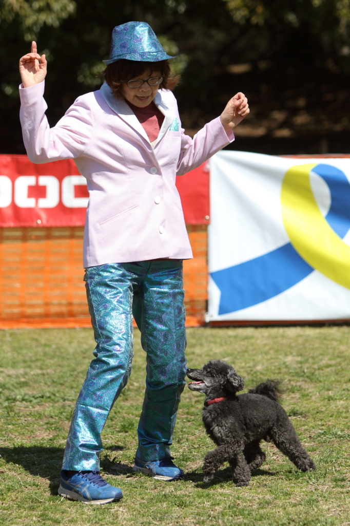 f:id:SunnySideDogs:20180405225146j:plain