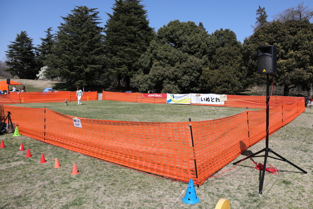 f:id:SunnySideDogs:20180405225215j:plain