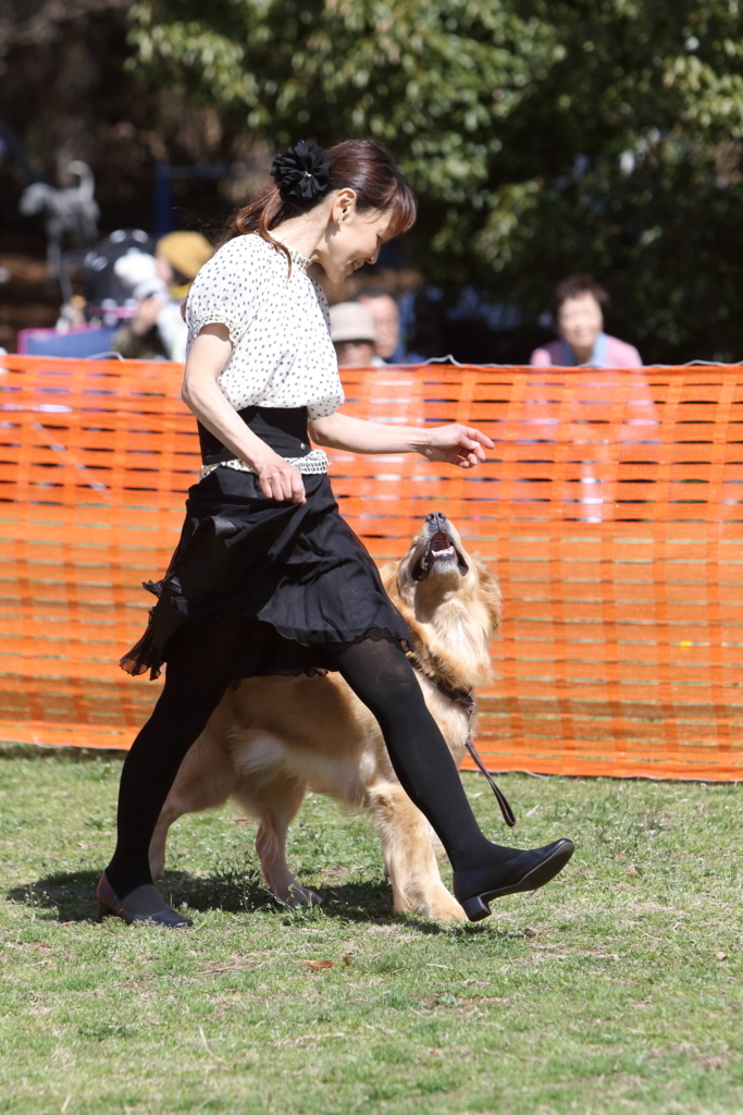 f:id:SunnySideDogs:20180405225248j:plain