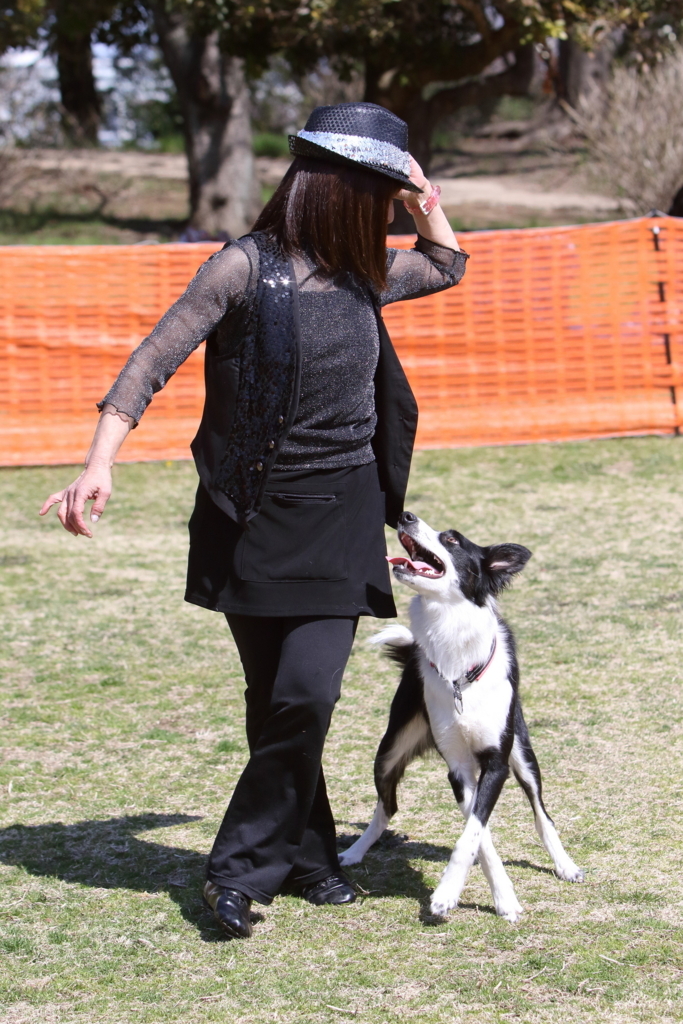 f:id:SunnySideDogs:20180405225315j:plain