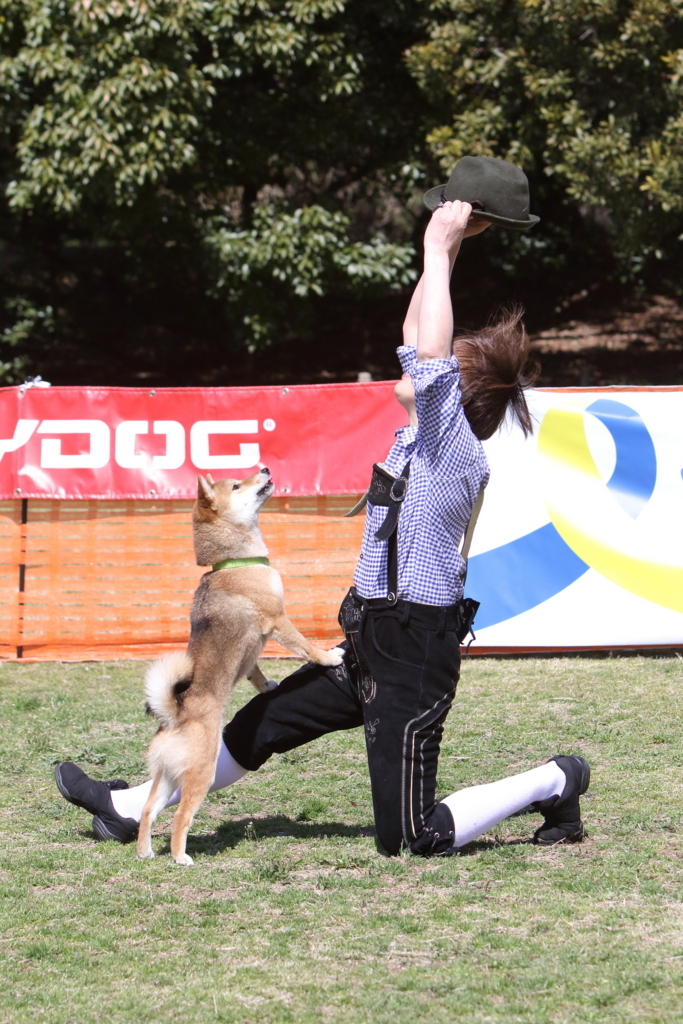 f:id:SunnySideDogs:20180405225324j:plain