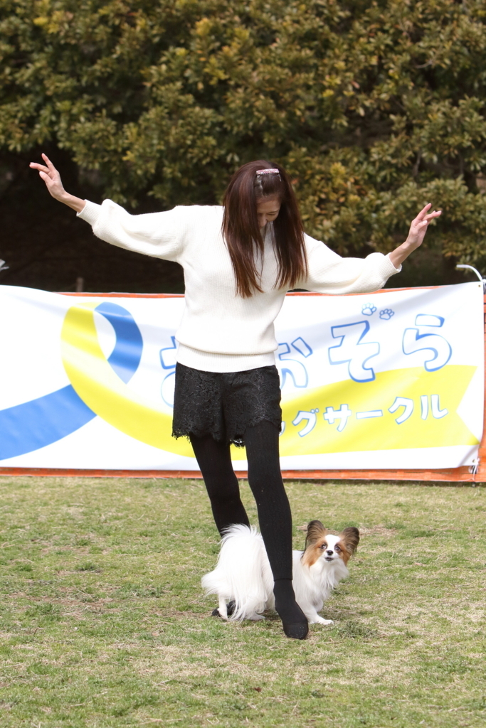 f:id:SunnySideDogs:20180405225333j:plain