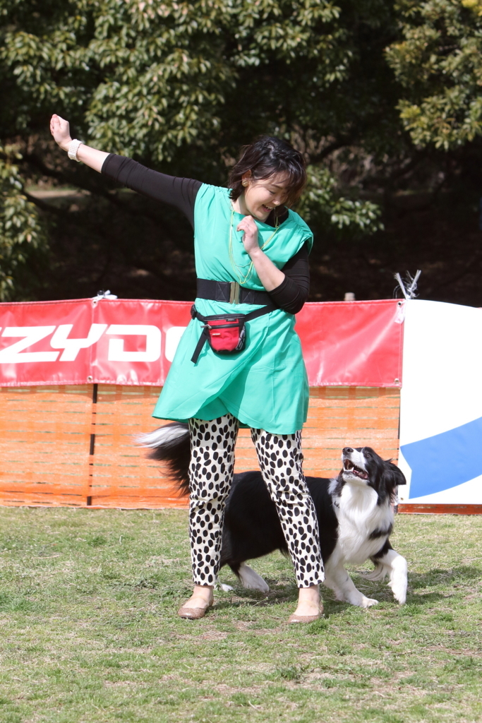 f:id:SunnySideDogs:20180405225342j:plain