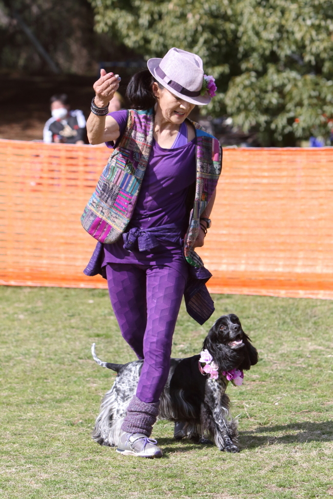 f:id:SunnySideDogs:20180405225350j:plain