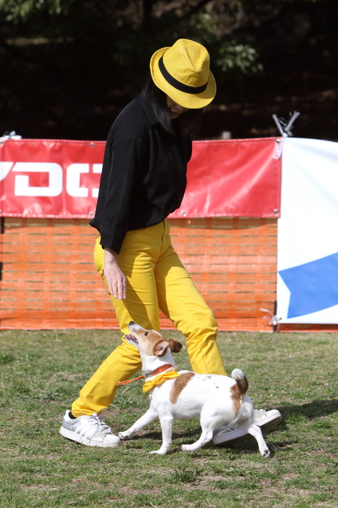 f:id:SunnySideDogs:20180405225359j:plain