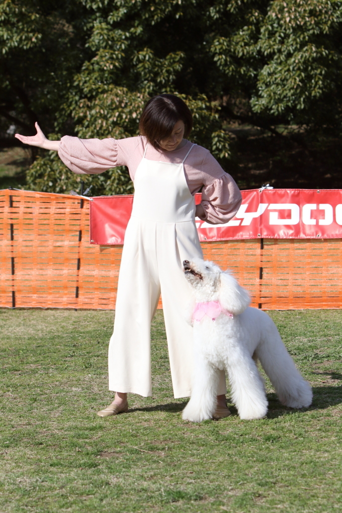 f:id:SunnySideDogs:20180405225412j:plain