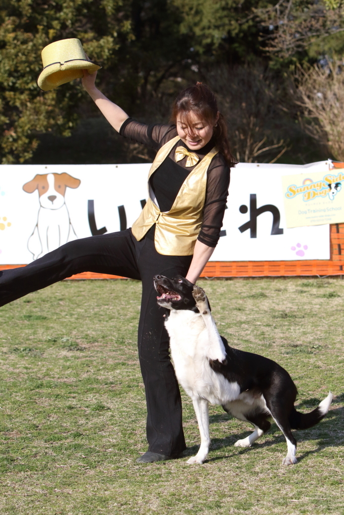 f:id:SunnySideDogs:20180405231953j:plain